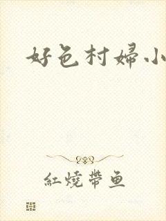 好色村妇小银贼