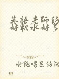 英语老师的兔子好软水好多