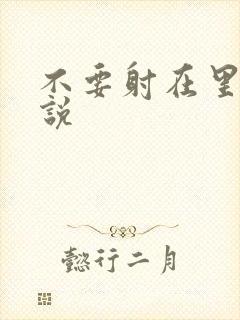 不要射在里面小说