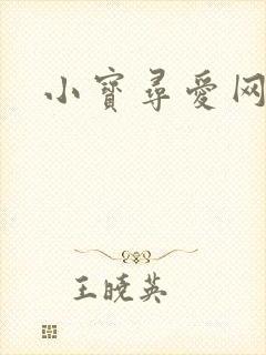 小宝寻爱网