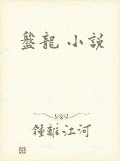 盘龙 小说