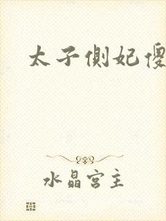 太子侧妃傻乎乎