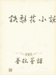 铁梨花小说