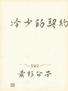 冷少的契约囚奴