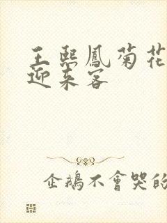 王熙凤菊花门初迎来客