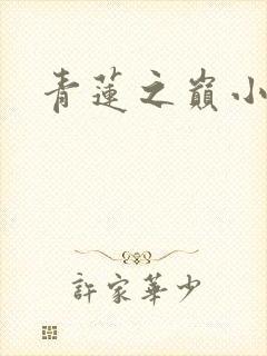 青莲之巅小说