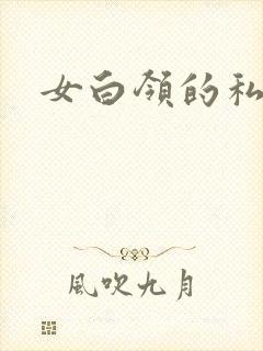 女白领的私生活