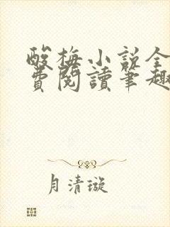 酸梅小说全文免费阅读笔趣阁