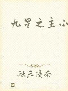 九星之主小说