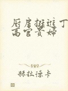 厨房挺进丁字裤高官贵妇