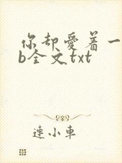 你却爱着一个sb全文txt