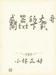 成器的大哥笔趣阁txt下载