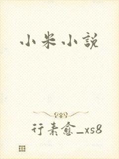 小米小说
