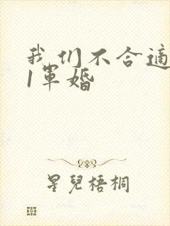 我们不合适1v1军婚