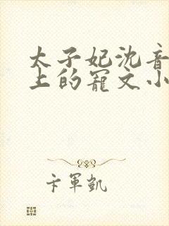 太子妃沈音和皇上的宠文小说