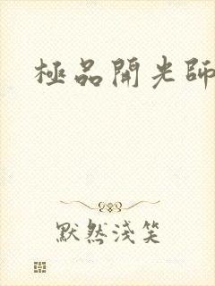 极品开光师