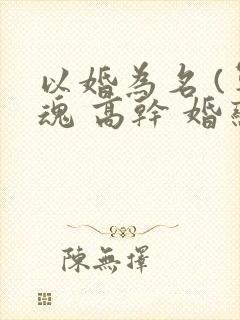 以婚为名 (军魂 高干 婚恋)