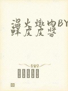 温火炖肉BY海鲜皮皮酱