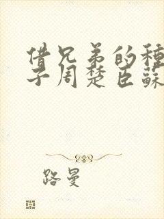 借兄弟的种生孩子周楚臣苏糖