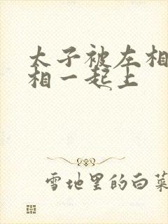 太子被左相和右相一起上