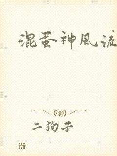 混蛋神风流