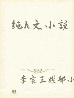 纯h文小说