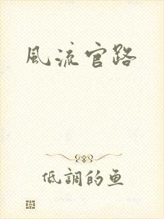 风流官路