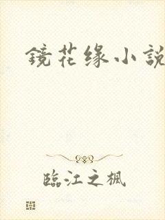 镜花缘小说
