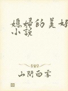 媳妇的美好时代小说