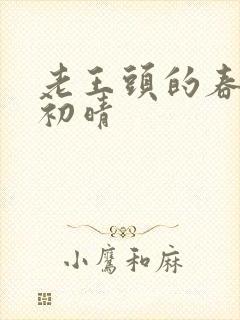老王头的春天林初晴