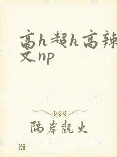 高h超h高辣h文np