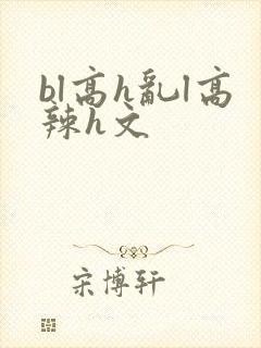 bl高h乱l高辣h文