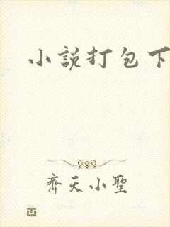 小说打包下载
