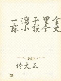 一泻千里金银花露小说全文免费阅读