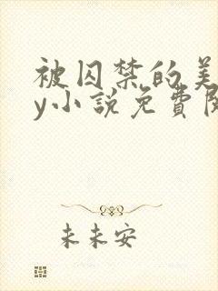 被囚禁的美人by小说免费阅读