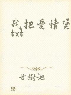 我把爱情煲成汤txt