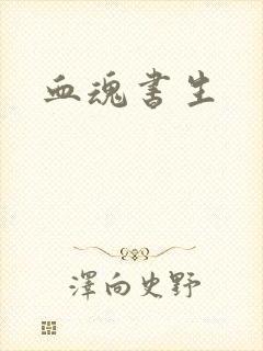 血魂书生
