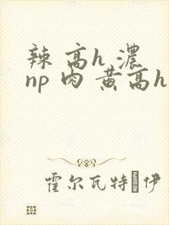辣 高h 浓 np 肉 黄高h