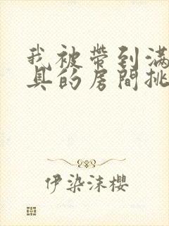 我被带到满是玩具的房间挑调作文