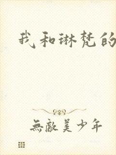 我和琳梵的故事
