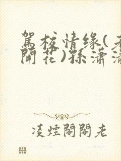 驾校情缘(老树开花)孙潇潇笔趣阁