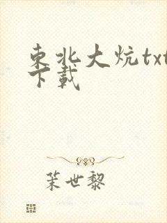 东北大炕txt下载