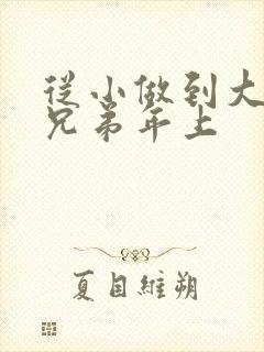 从小做到大骨科兄弟年上