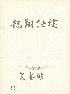 龙翔仕途