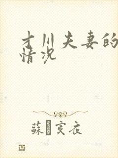 才川夫妻的恋爱情况