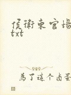 侯卫东官场笔记txt