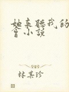 她来听我的演唱会小说