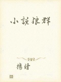小说狼群