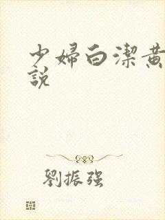 少妇白洁黄色小说