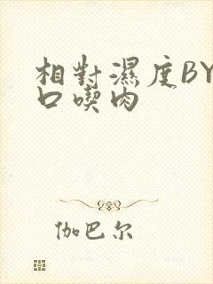 相对湿度BY大口吃肉